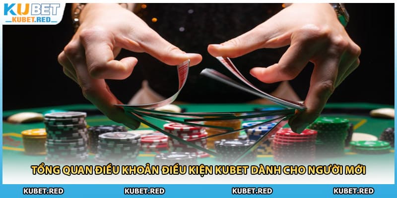 Tổng quan điều khoản điều kiện KUBET dành cho người mới